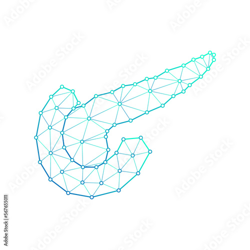 Human Pancreas Endocrine, Digestive System Polygonal Low Poly Triangulated Mesh Connect Dots Medical Logo Icon, Line Art Isolated on White Background