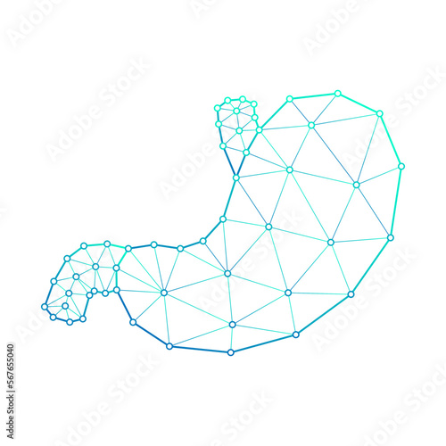 Human Stomach Digestive System Polygonal Low Poly Triangulated Mesh Connect Dots Medical Logo Icon, Line Art Isolated on White Background