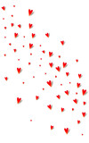 Red Hearts Vector White Backgound. Falling