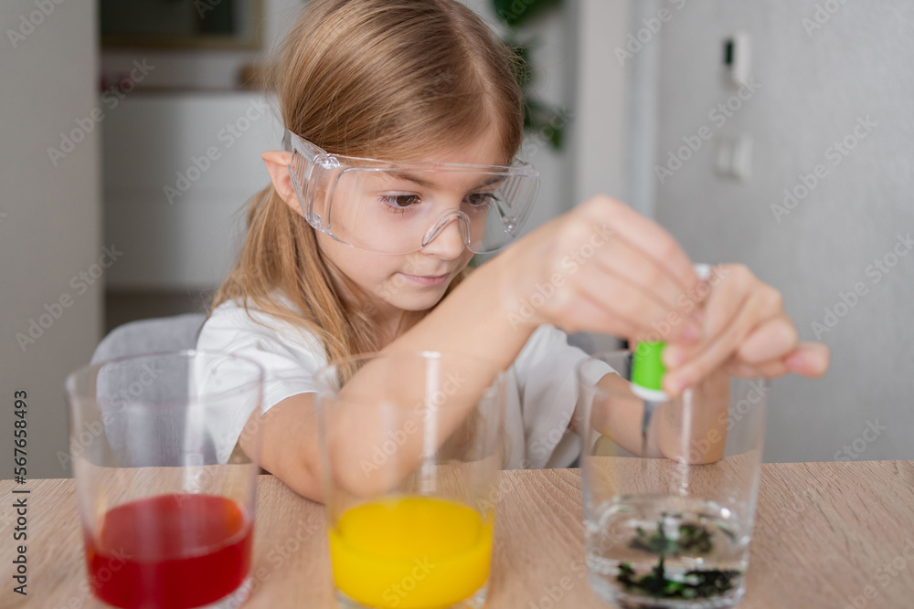 child learning research and doing a chemical experiment while making analyzing and mixing liquid in test glasses. Playful little girl in protective wear having fun playing with chemistry lab game. child learning research and doing a chemical experiment while making analyzing and mixing liquid in test glasses. Playful little girl in protective wear having fun playing with chemistry lab game.