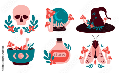 Witchcraft magical cliparts. Collection esoteric occult magic illustrations. Witch mystical symbol, skull, sphere, fly agaric, vial, witch hat, magic herbs. Flat halloween stickers for merch, decor.