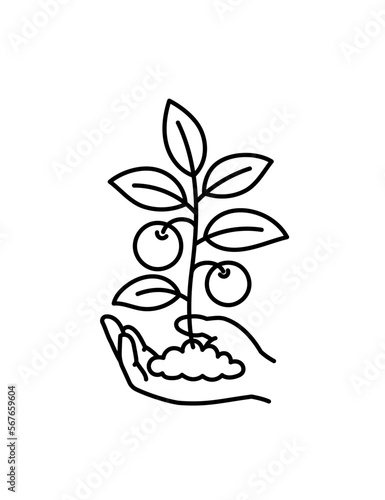 Hand holding young vegetable with fruits. Growth of plant. Care for nature. Vector line icon. Editable outline stroke.