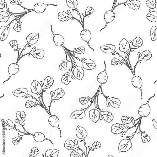 seth doodle seamless pattern with radish on a white background with black lines. Vector spring background for a seedling store