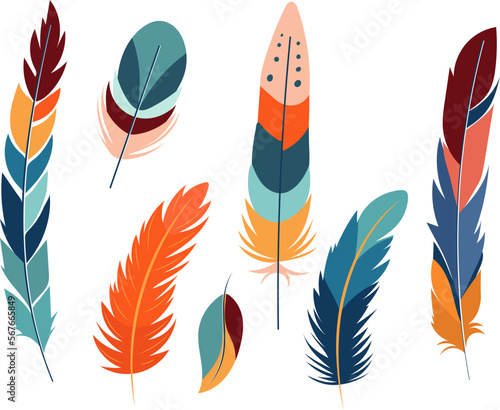set of bird feathers in flat style, vector