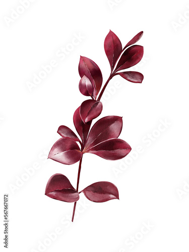 Red leaves watercolor illustration