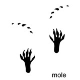 Mole footprint, mole track. Mole steps. Handprint in black color. Vector illustration isolated on white background. For posters, greeting cards, book cover, flyers, banner, game designs