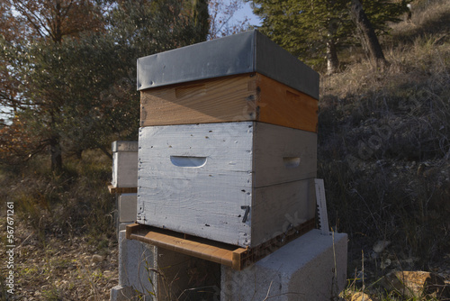 A Bee Hive in Provence © Callen Verdon