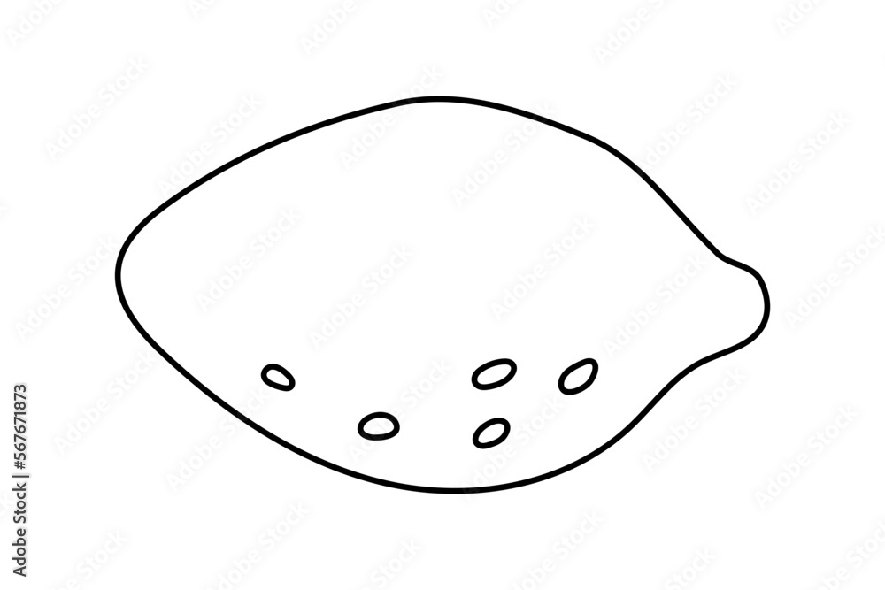 lemon doodle flat illustration on white background. Vector graphics design lemon doodle flat illustration on white background. Vector graphics design