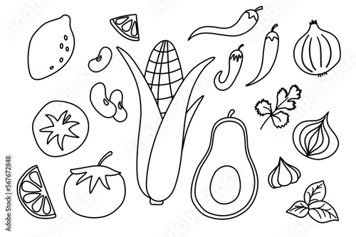 Mexican Food set in flat vector style. Traditional ingredients like tomato, avocado and chili pepper, corn, lime