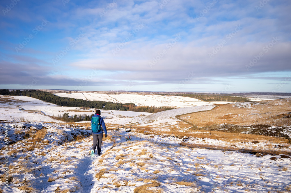 A hiker walking across the moors towards a bridge below the summit of Bolt's Law in winter near Blanchland, Northumberland in England UK.