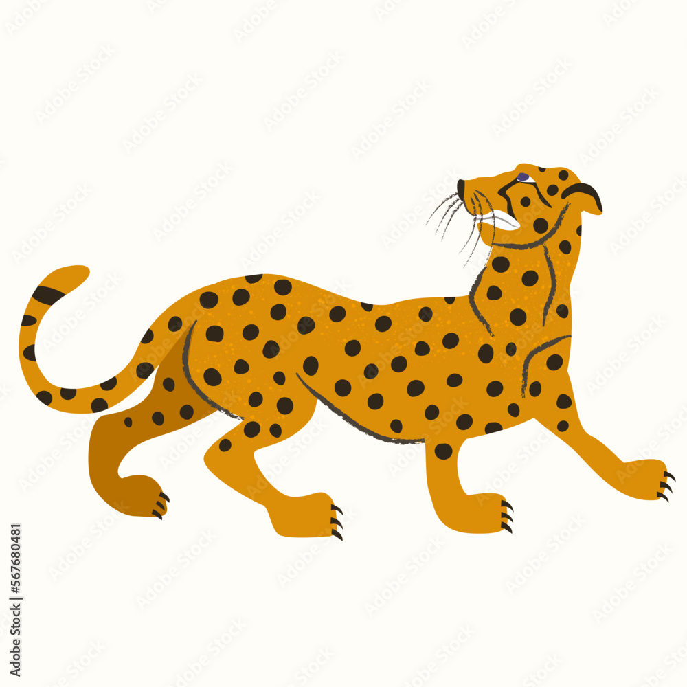 Fototapeta premium The cheetah shows its teeth. Vector illustration.