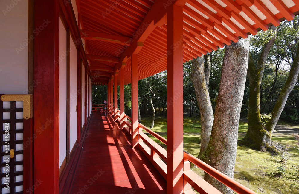 大覚寺 霊明殿の廊下 京都市右京区嵯峨 大覚寺 霊明殿の廊下 京都市右京区嵯峨