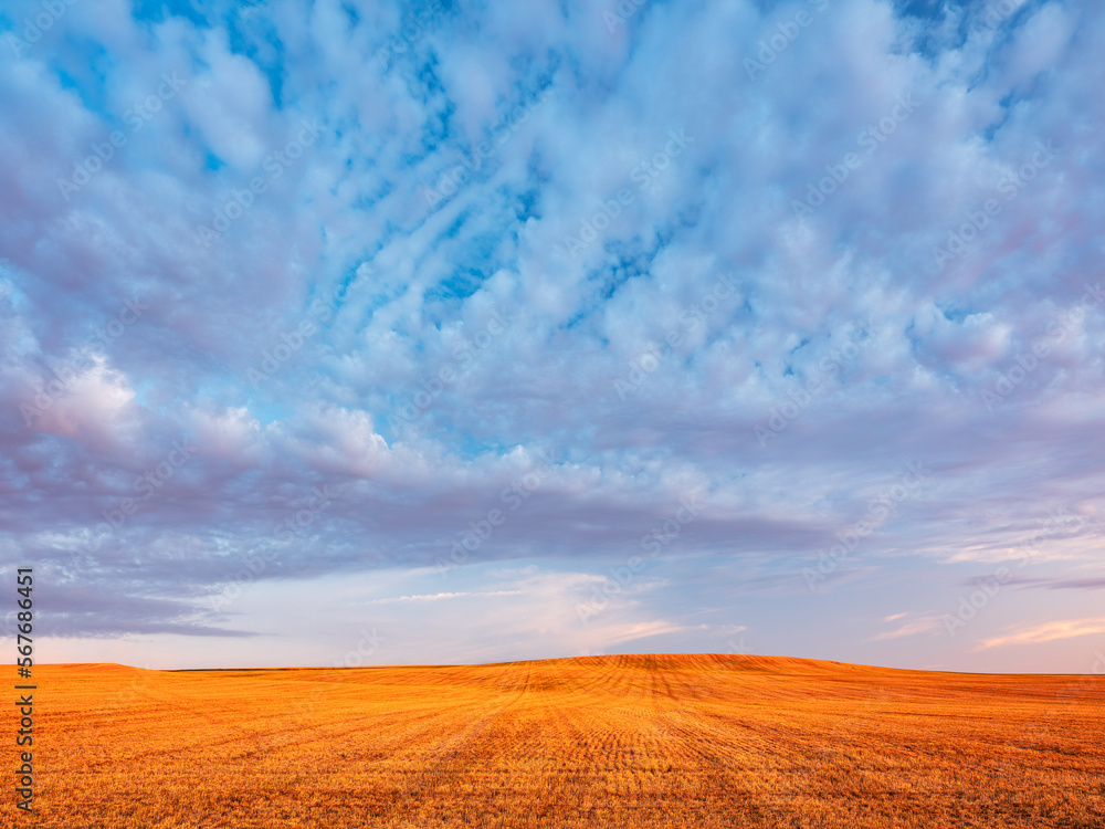 Sky with beautiful clouds over stubble field at sunset in summer Sky with beautiful clouds over stubble field at sunset in summer