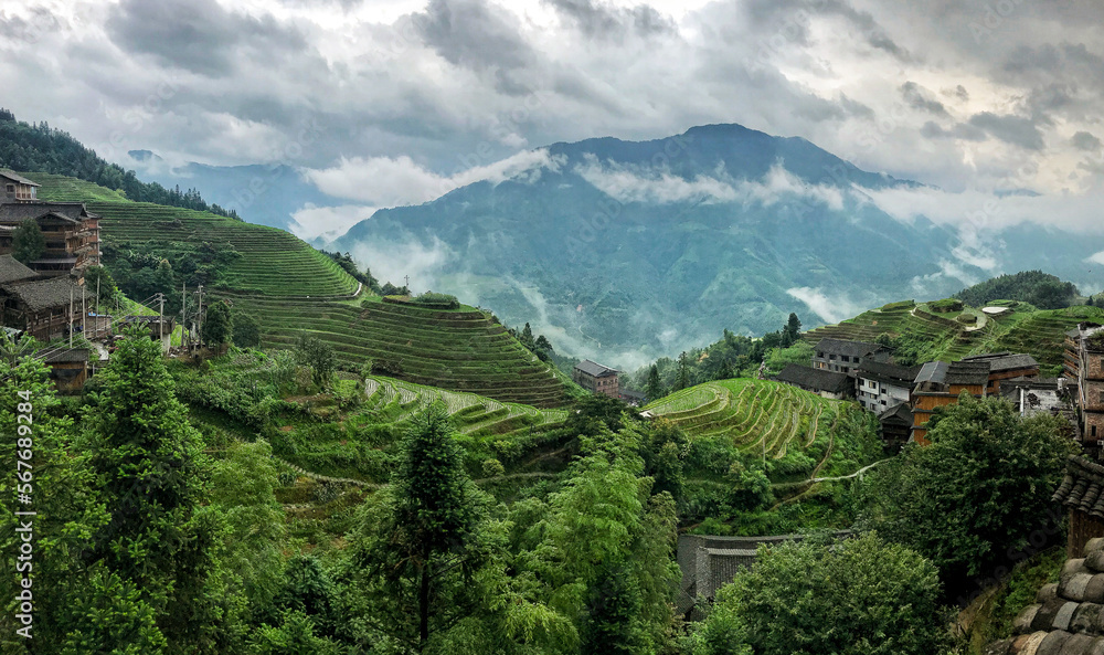 rice terraces ‎⁨from Longsheng, Guangxi⁩, ⁨China⁩
