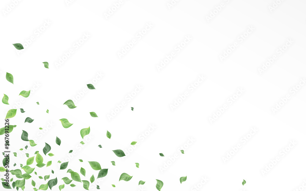 Green Leaves Falling Vector White Background Green Leaves Falling Vector White Background