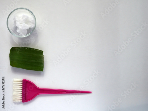 Coconut oil  Aloe Vera leaf    ask brush on white background.