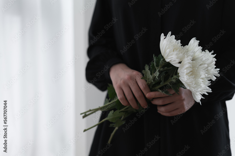 Fotografie Hand holding the white chrysanthemum
