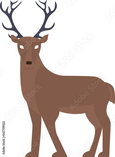 Stag Vector Icon
