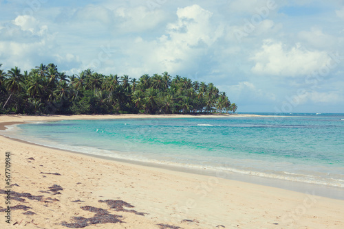 Fototapeta Naklejka Na Ścianę i Meble -  Travel background with Caribbean sea and green palm trees on beach.