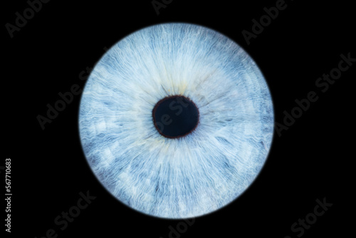 Human eye iris close up isolated on black background