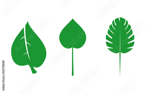 set of green leaves