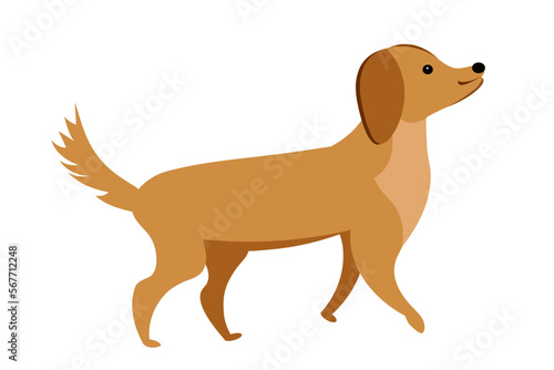 Red dog on a white background.