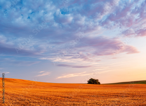 Sky with beautiful clouds over rolling hills with stubble field at sunset in summer