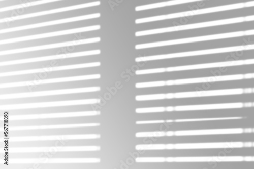 window shadow Tropical plant overlay element for portrait easy to use PNG