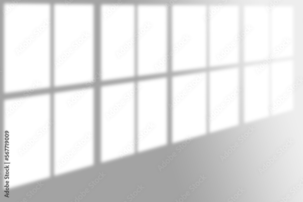 window shadow Tropical plant overlay element for portrait easy to use PNG window shadow Tropical plant overlay element for portrait easy to use PNG