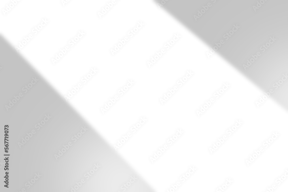 window shadow Tropical plant overlay element for portrait easy to use PNG window shadow Tropical plant overlay element for portrait easy to use PNG