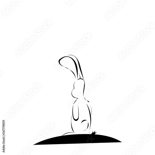 Hase