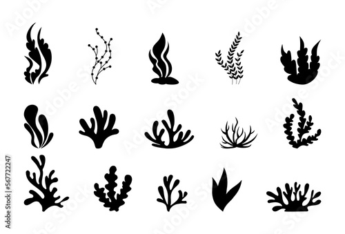 Obraz na plátně Sea corals silhouettes, seaweed, black alga and kelp