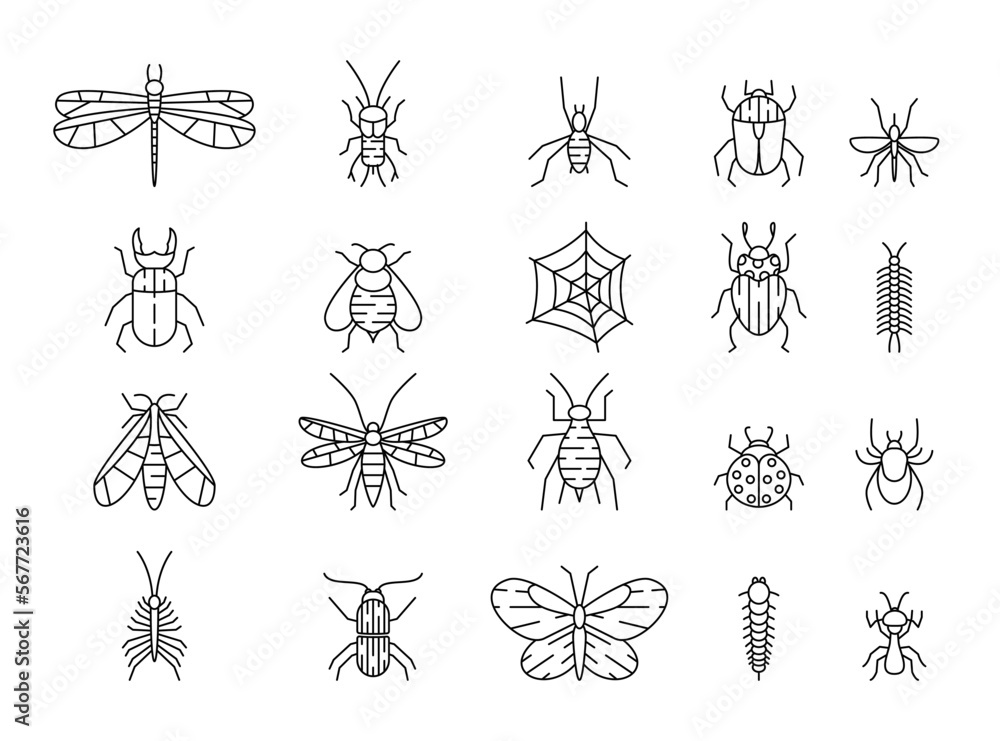 Insects icons. Line ant and mosquito, butterfly and different bugs. Animals with web, beetle, bees and pests, dragonflies and mantis. Outline pictogram. Vector illustration garish set Insects icons. Line ant and mosquito, butterfly and different bugs. Animals with web, beetle, bees and pests, dragonflies and mantis. Outline pictogram. Vector illustration garish set