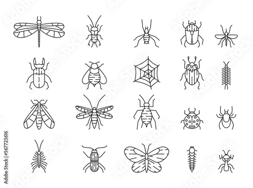 Insects icons. Line ant and mosquito  butterfly and different bugs. Animals with web  beetle  bees and pests  dragonflies and mantis. Outline pictogram. Vector illustration garish set