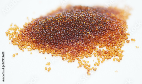 Tableau sur toile Microbeads of ion-exchange resin - polymer