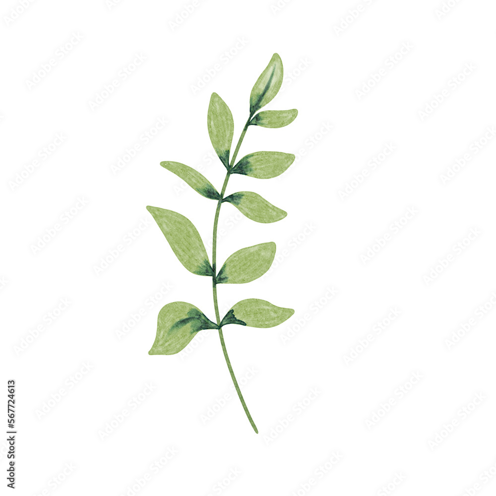 Botanical spring summer leaf watercolor illustration for wedding invitation card, decoration, frame and wreath