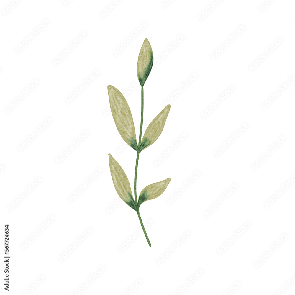 Fototapeta premium Botanical spring summer leaf watercolor illustration for wedding invitation card, decoration, frame and wreath