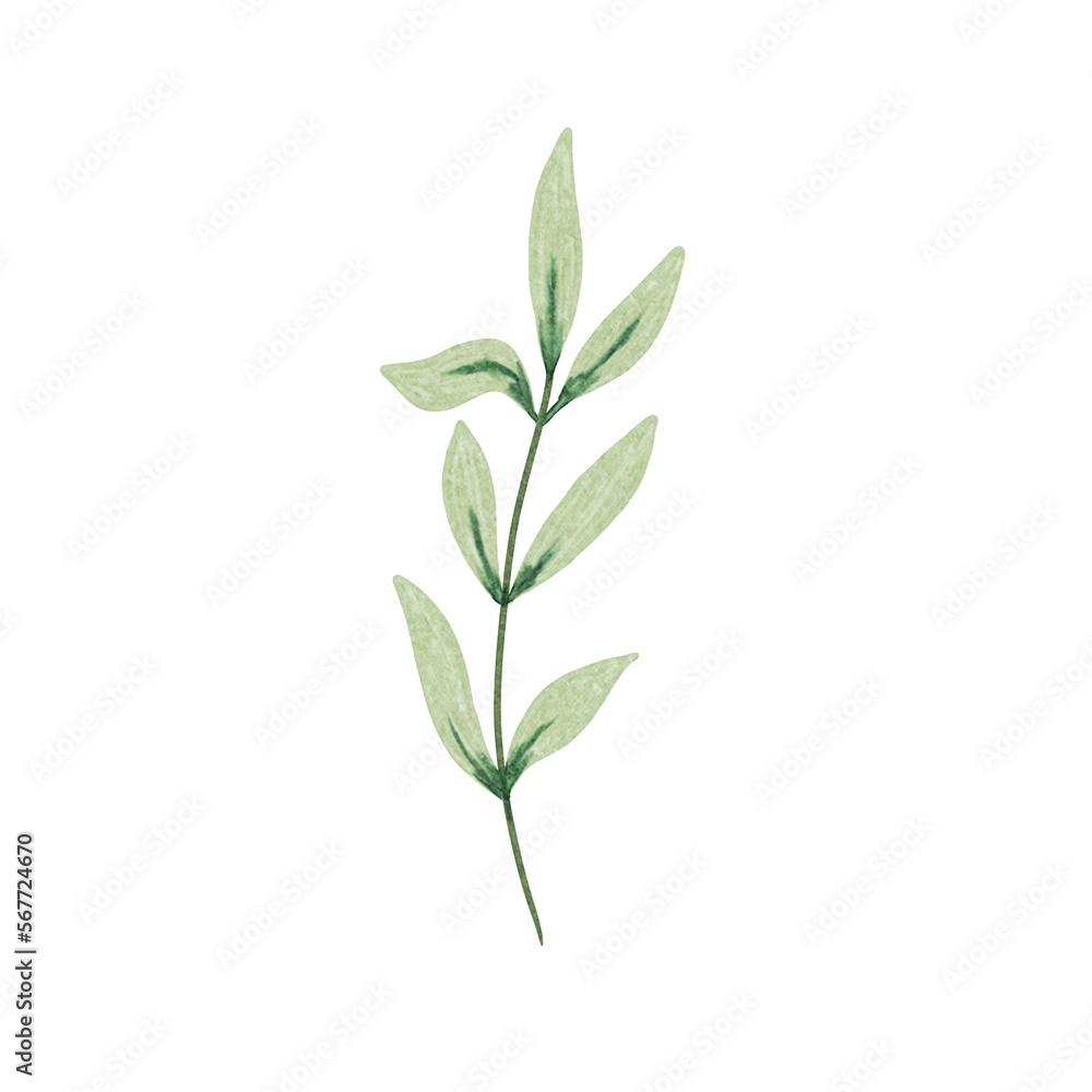 Botanical spring summer leaf watercolor illustration for wedding invitation card, decoration, frame and wreath