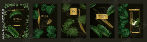 Fotografia Tropic gold spa posters, green leaf and golden decor