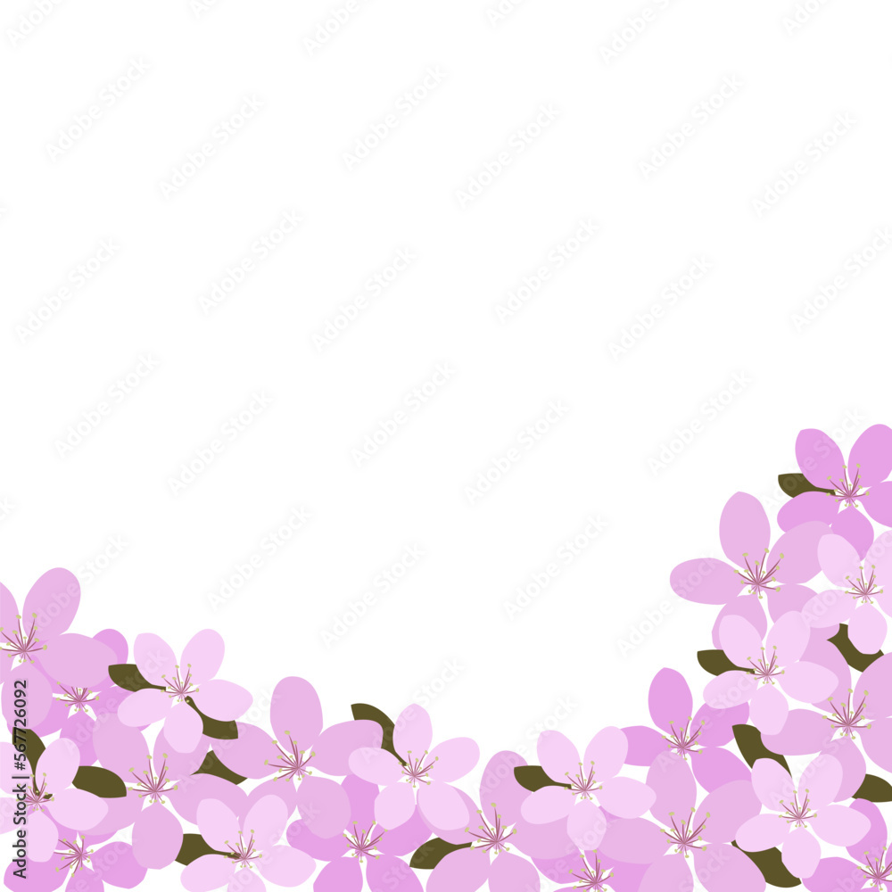 Cherry Blossom Sakura Flowers Pink Flat Vector Illustration Background frame