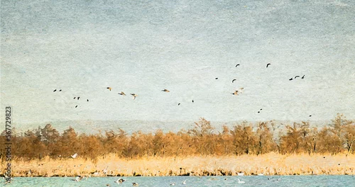 Obraz Ilustracja grafika jezioro jasne niebo drzewa i ptaki na horyzoncie.	
