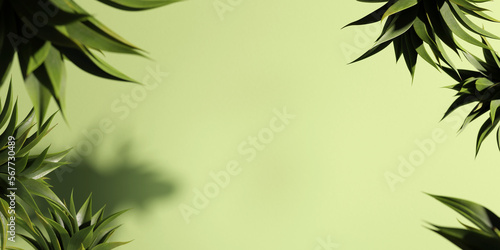 Fototapeta Naklejka Na Ścianę i Meble -  Agave plants around focus area of copy space in front of green textured wall. Copy space. Advertisement possibilities.