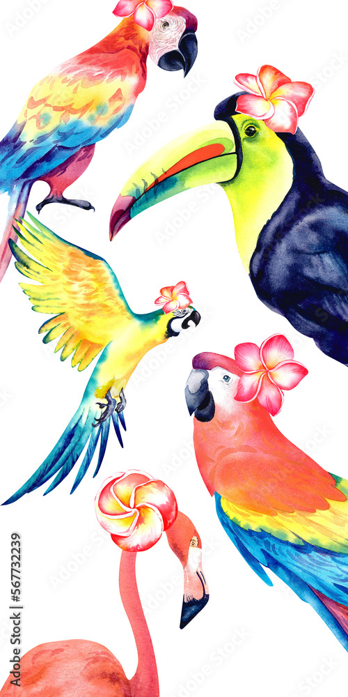 Obraz premium Tropical birds on an isolated background. Watercolor illustration. Exotic birds. Toucan. Parrot. Flamingos.