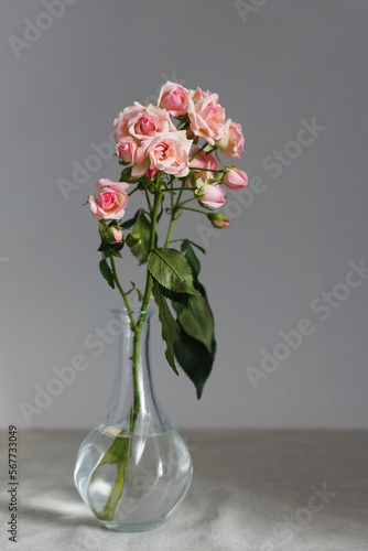 On the table, against the background of a gray wall, there is a crystal vase with a sprig of pink spray roses and green stems, glare from the water falls on the table, copy space.