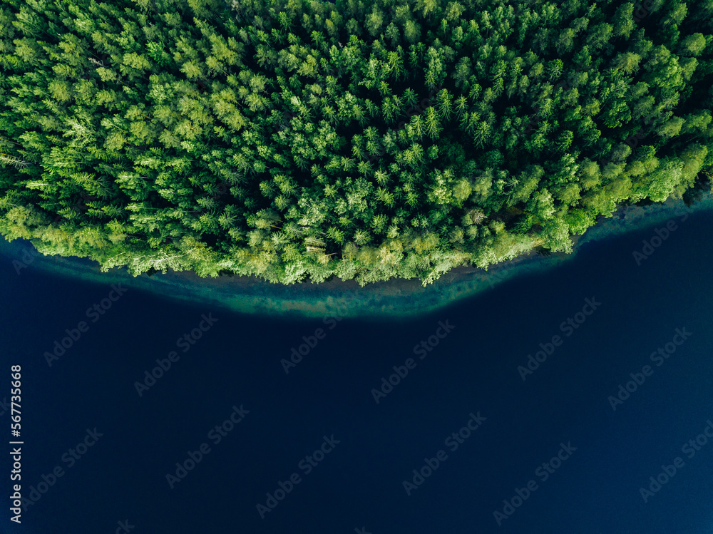 Aerial view of blue water lake  and green summer woods in Finland. - obrazy, fototapety, plakaty 
