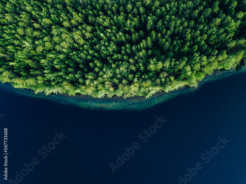 Aerial view of blue water lake and green summer woods in Finland. © nblxer