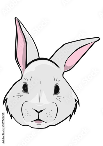 Cartoon Easter bunny face. Easy to use vector without gradients or other effects.