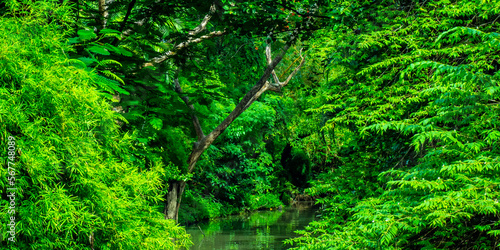 reflection of the water surface reflects the surrounding nature. 