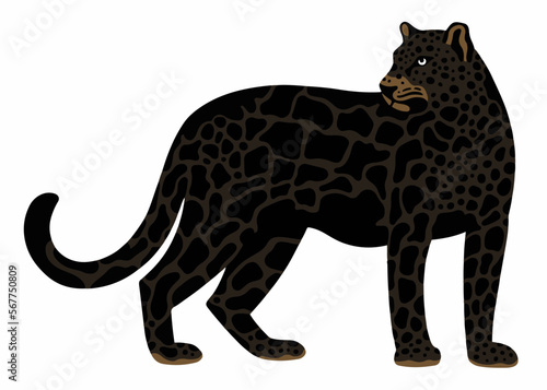 Melanistic leopard vector cartoon illustration