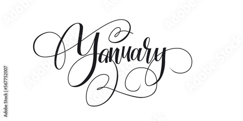 Handwriting Vector Calligraphic Letter. Lettering winter month typography. January. Ink illustration vintage brush. Word for calendar, bullet journal, monthly organizer. Isolated on white background